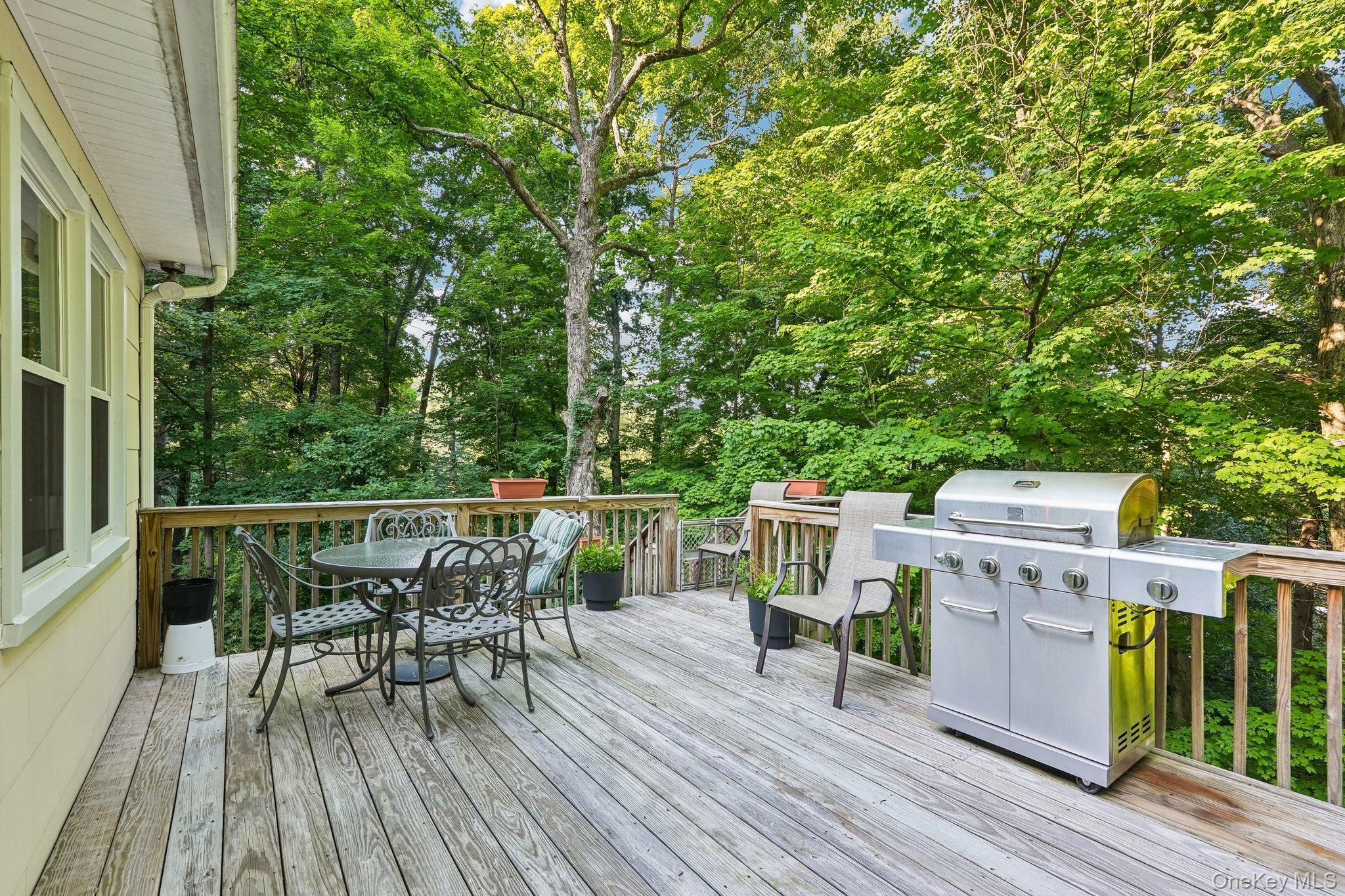 Single Family Nursery Road  Orange County, NY 10987, MLS-1023454-49