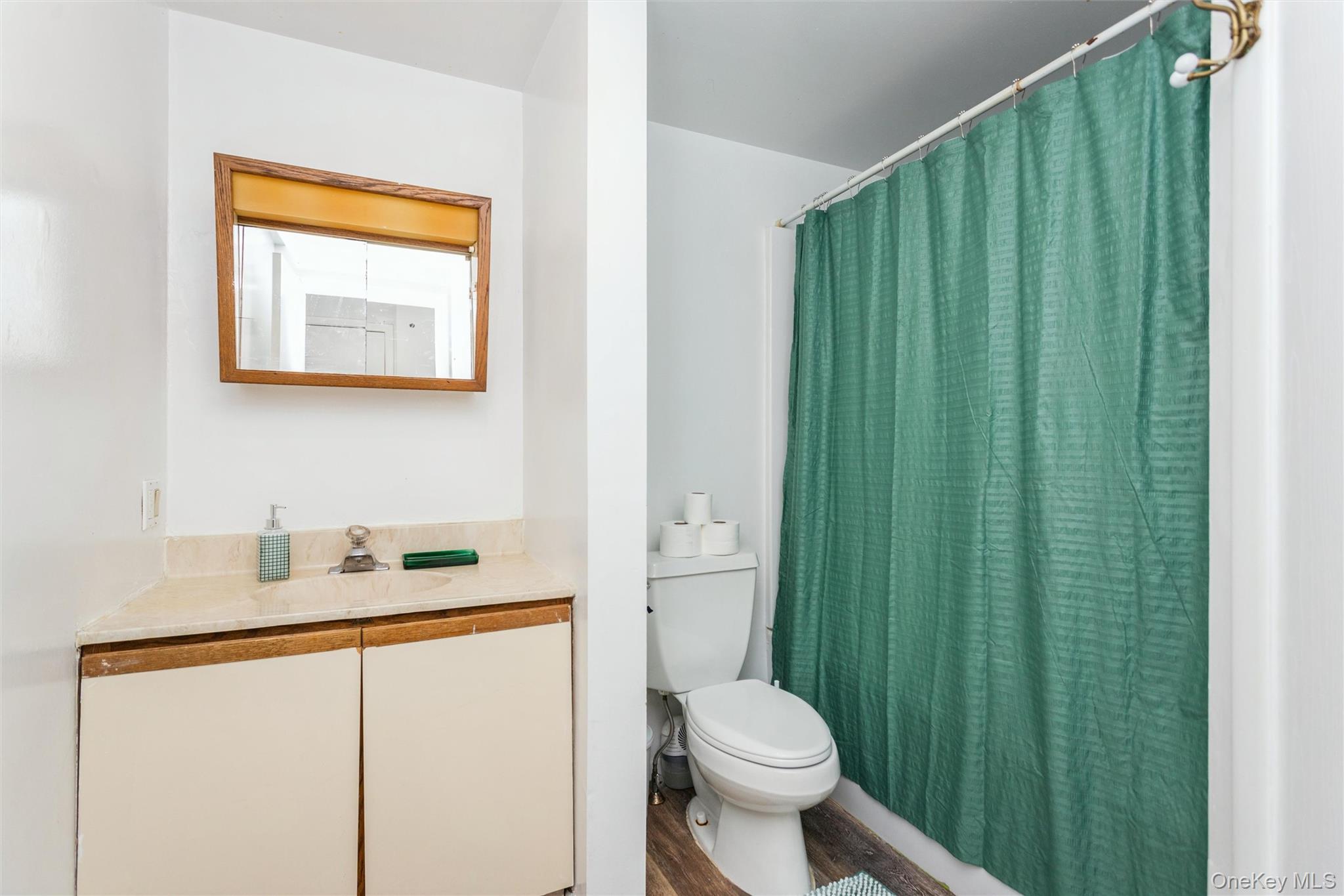 Single Family Lincoln Avenue Westchester County, NY 10801, MLS-1023498-21