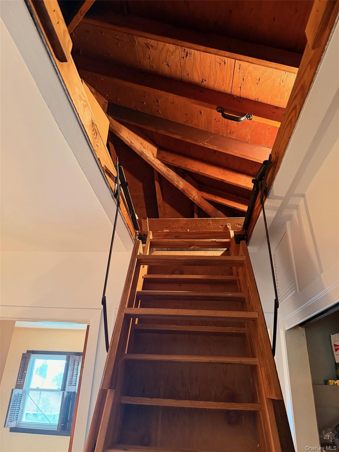 Single Family Watt Avenue Bronx, NY 10465, MLS-1023519-27
