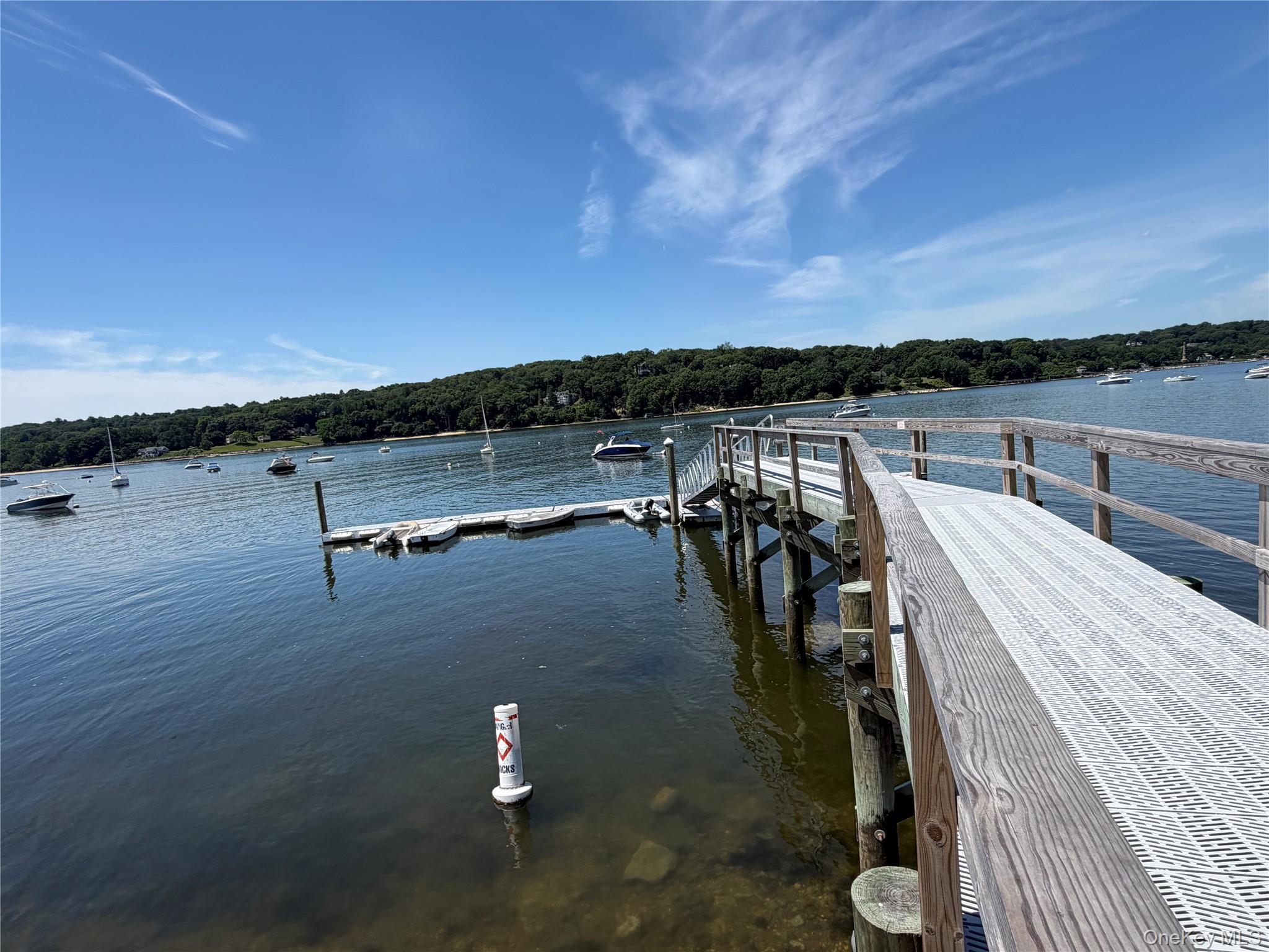 Single Family Spring Street  Suffolk County, NY 11724, MLS-1023535-43