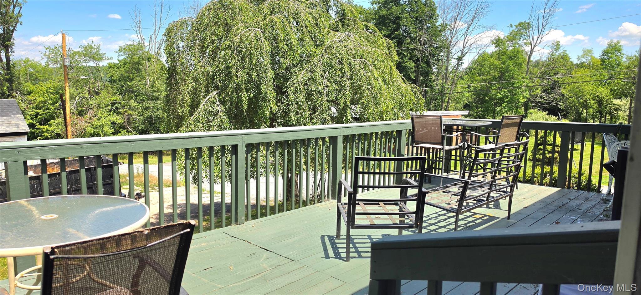 Single Family Third Street  Sullivan County, NY 12789, MLS-1023571-9