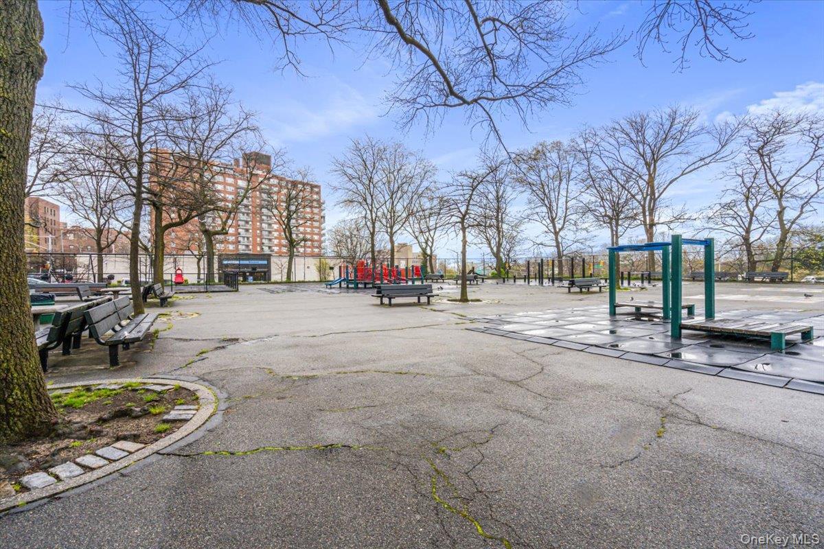 Coop Main Street Queens, NY 11501, MLS-1023577-15