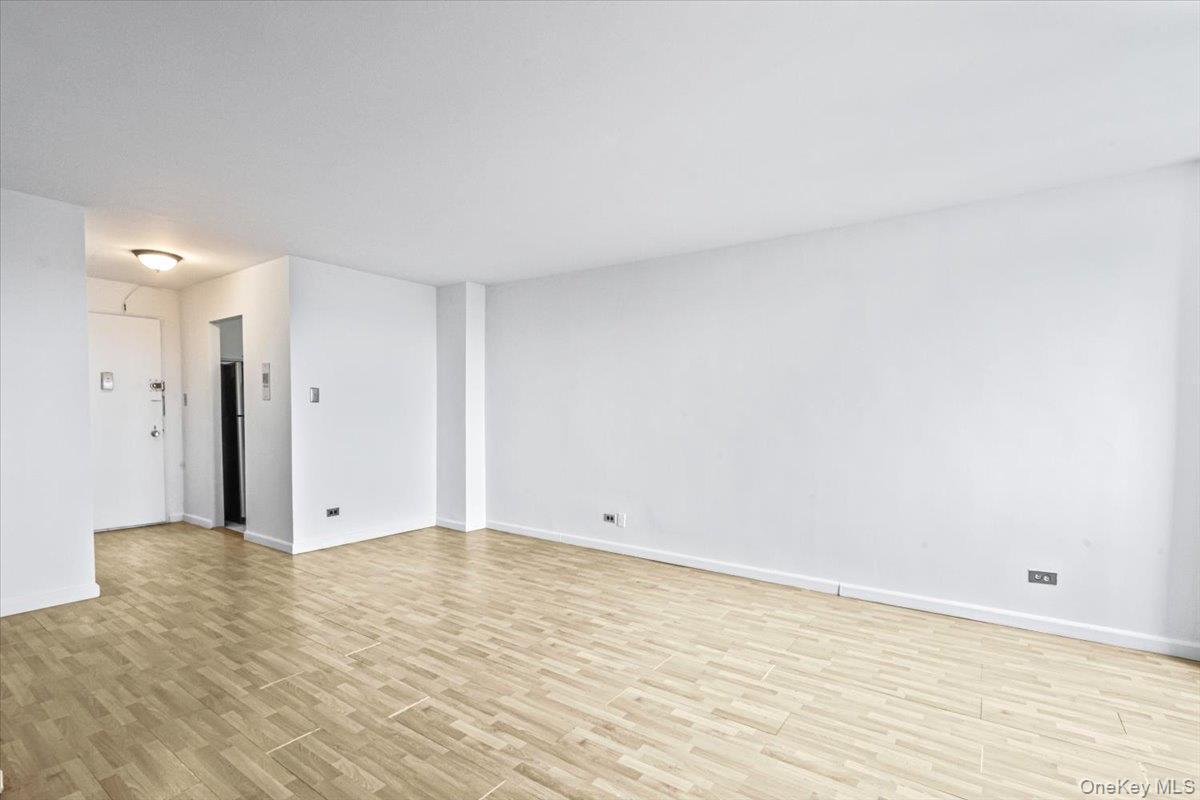 Coop Main Street Queens, NY 11501, MLS-1023577-8