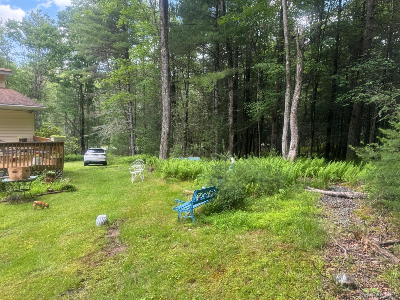 Single Family Highland Lake Road Sullivan County, NY 12732, MLS-1023594-14