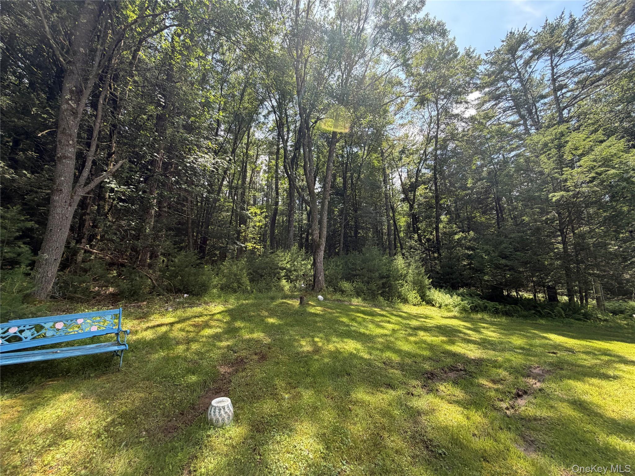 Single Family Highland Lake Road Sullivan County, NY 12732, MLS-1023594-28