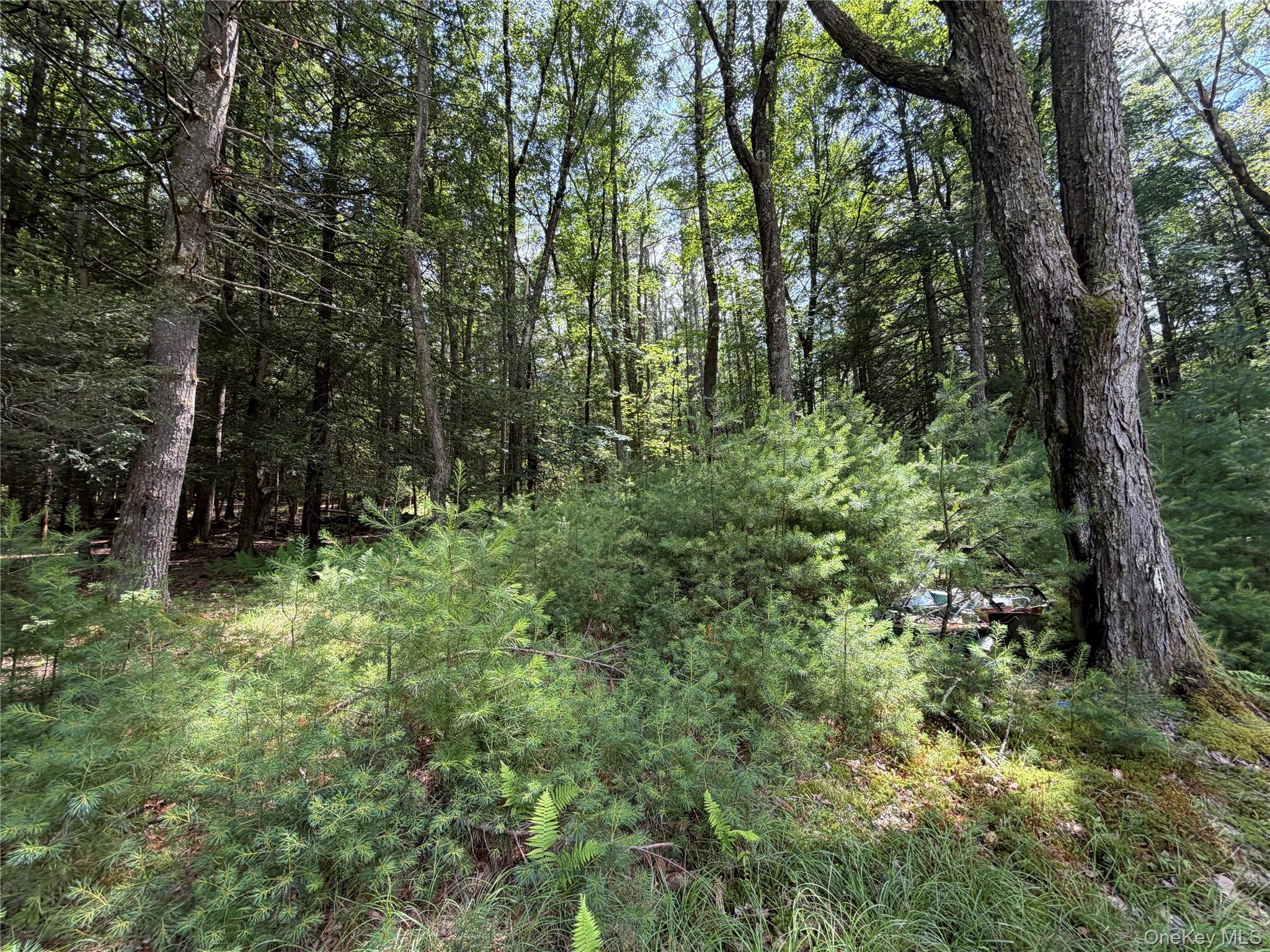 Single Family Highland Lake Road Sullivan County, NY 12732, MLS-1023594-30