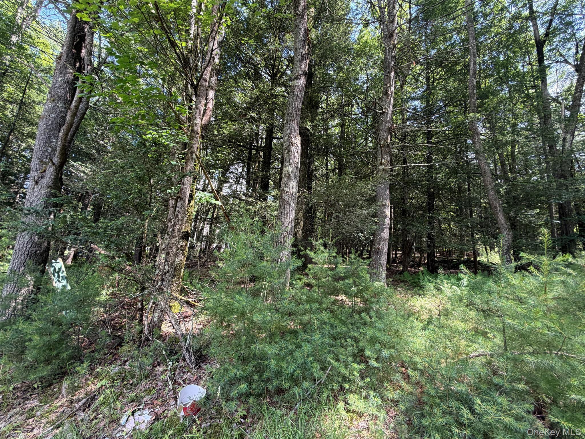 Single Family Highland Lake Road Sullivan County, NY 12732, MLS-1023594-31