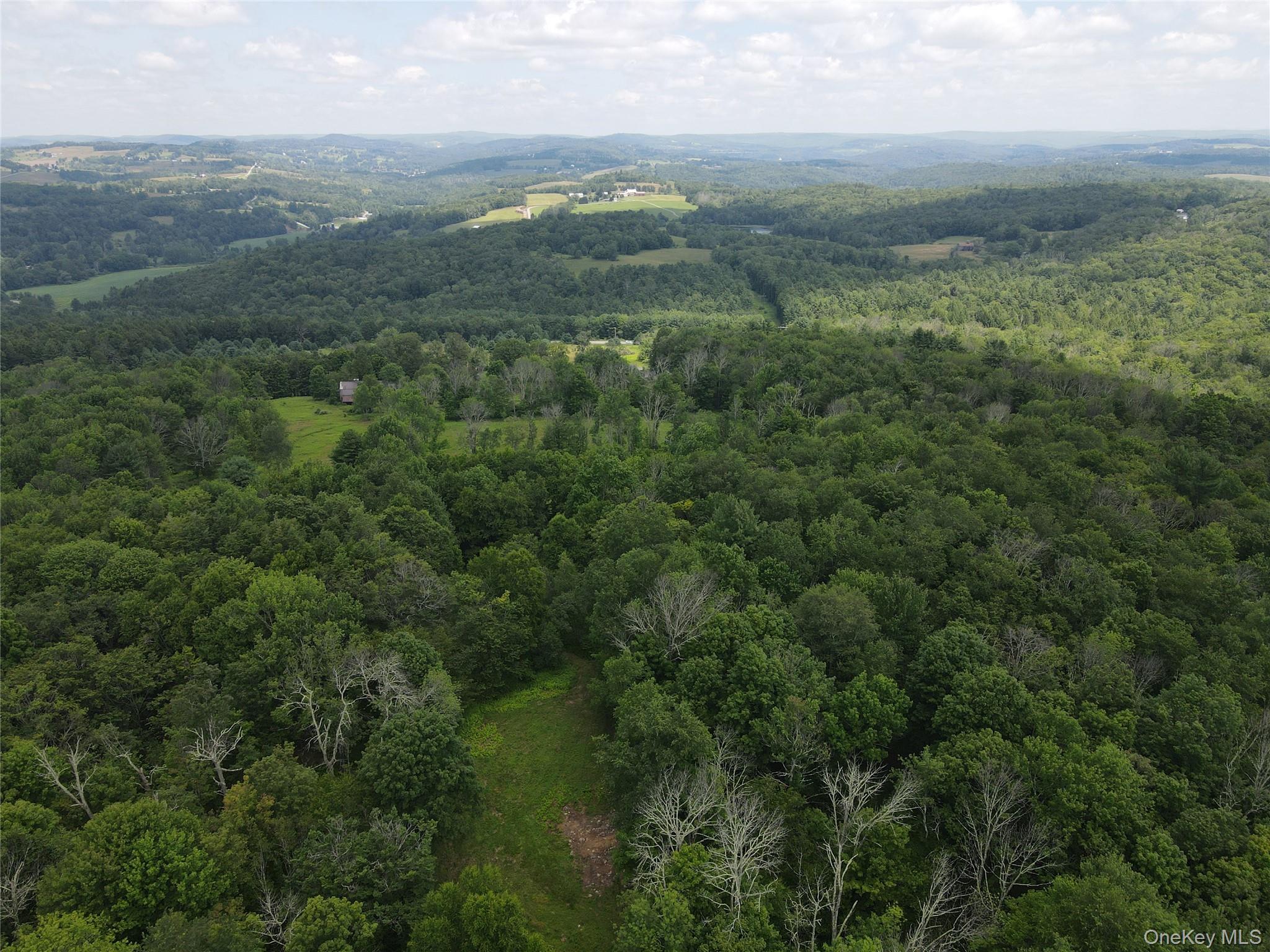 Single Family County Road 114 Sullivan County, NY 12726, MLS-1023617-27