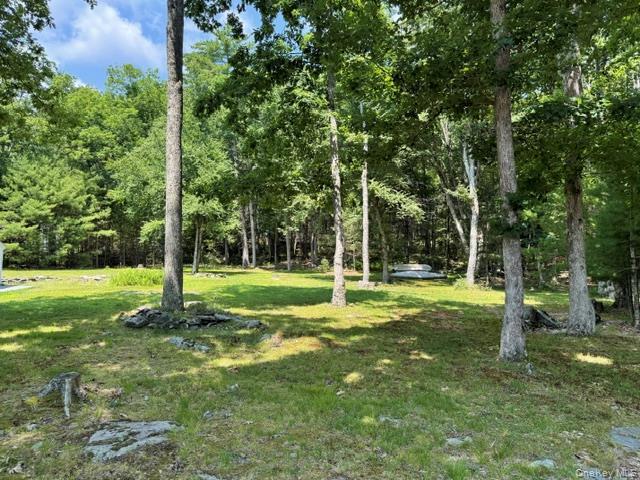 Single Family W Mohican Trail Sullivan County, NY 12737, MLS-1023645-22