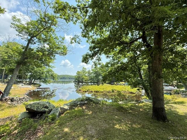 Single Family W Mohican Trail Sullivan County, NY 12737, MLS-1023645-29
