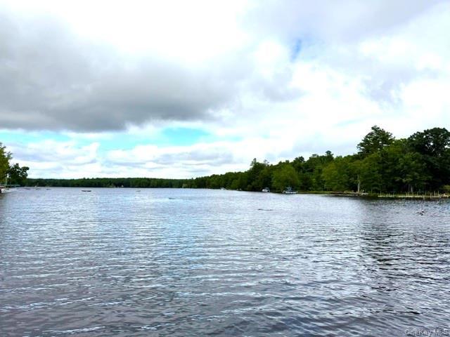 Single Family W Mohican Trail Sullivan County, NY 12737, MLS-1023645-8
