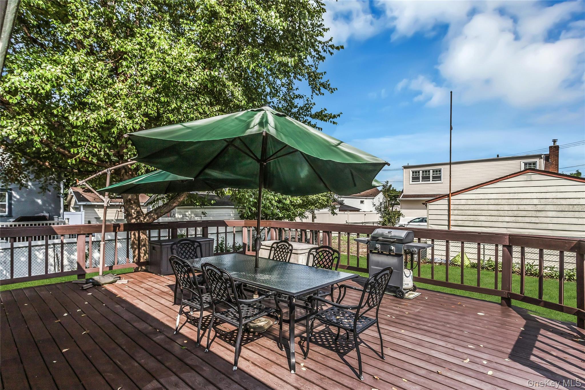 Single Family Elm Street Nassau County, NY 11563, MLS-1023699-25