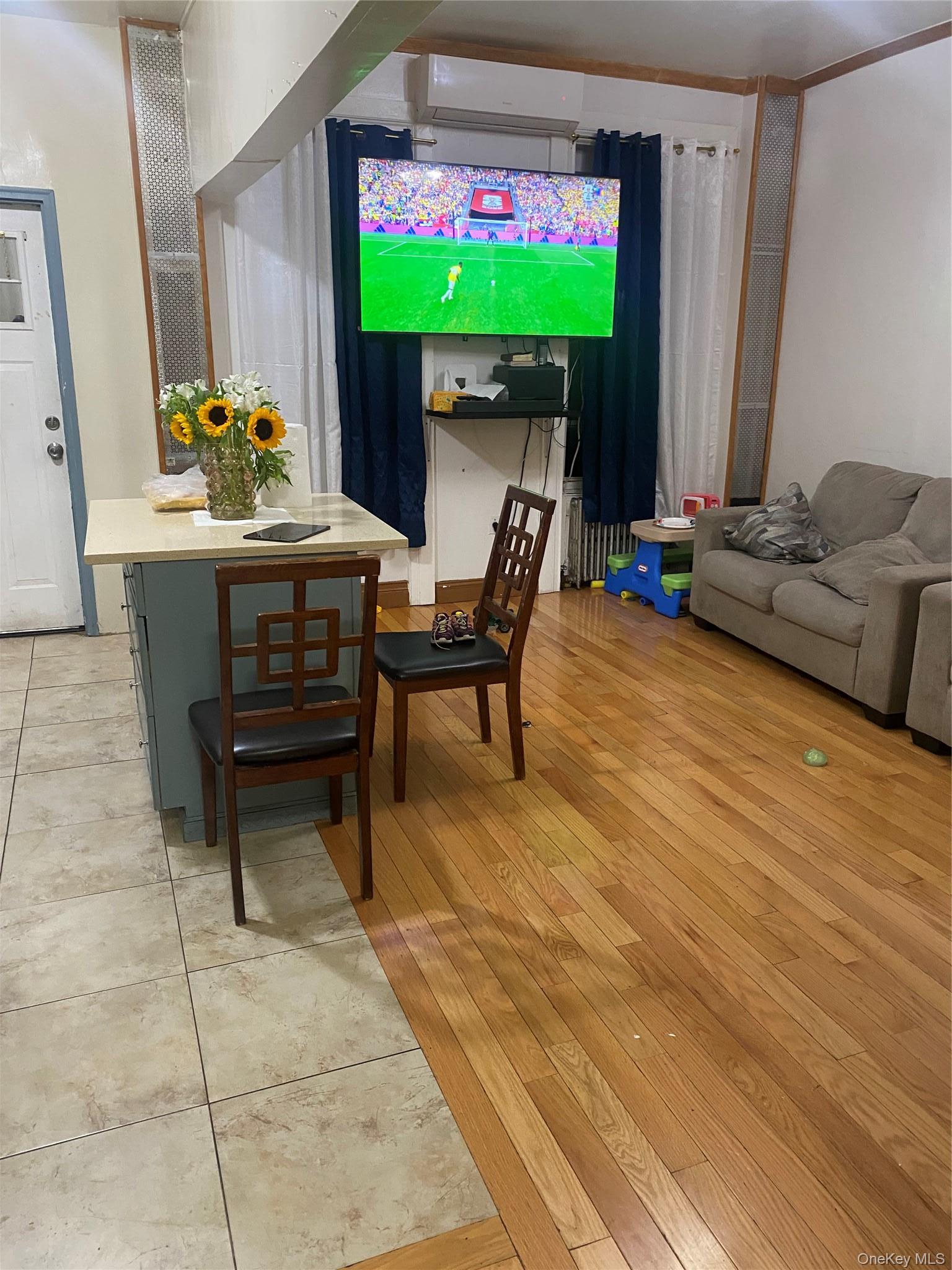 Single Family Etna Street Brooklyn, NY 11208, MLS-1023723-5