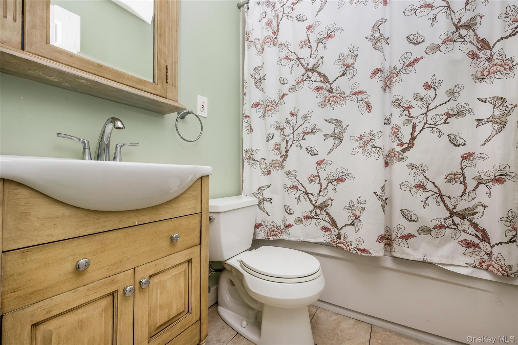 Single Family Overton Street  Nassau County, NY 11520, MLS-1023732-16