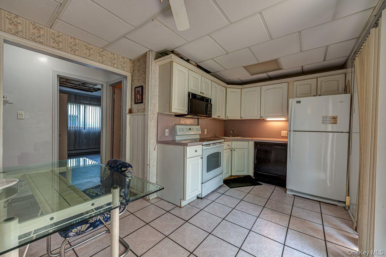 Single Family Wilson Lane Nassau County, NY 11554, MLS-1023768-12
