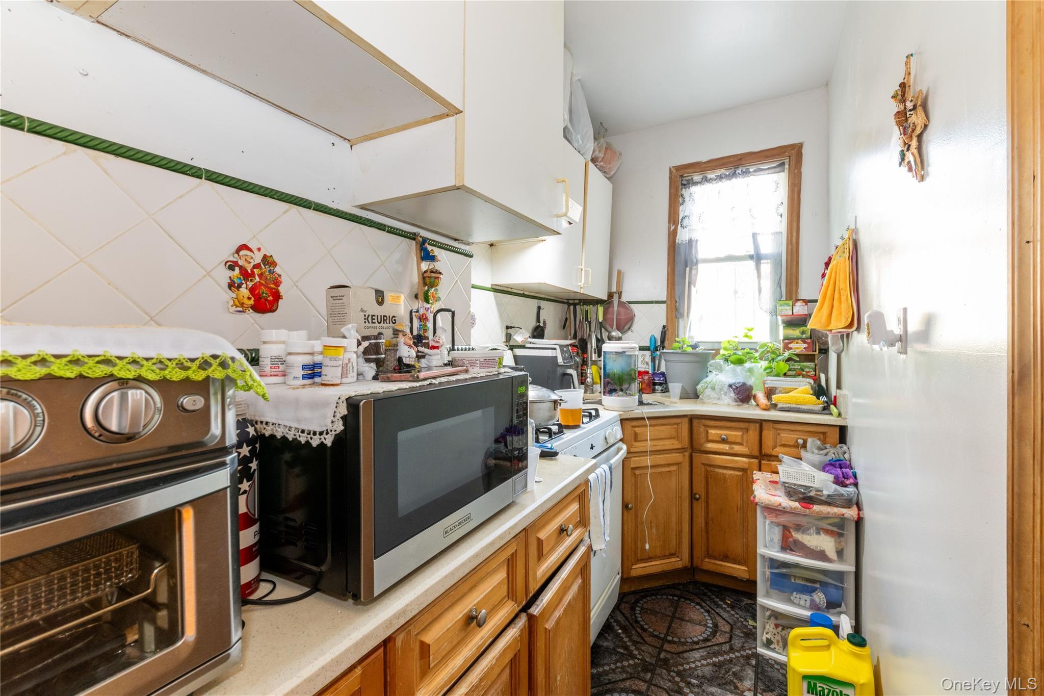 Single Family 56th Avenue Queens, NY 11373, MLS-1023779-7