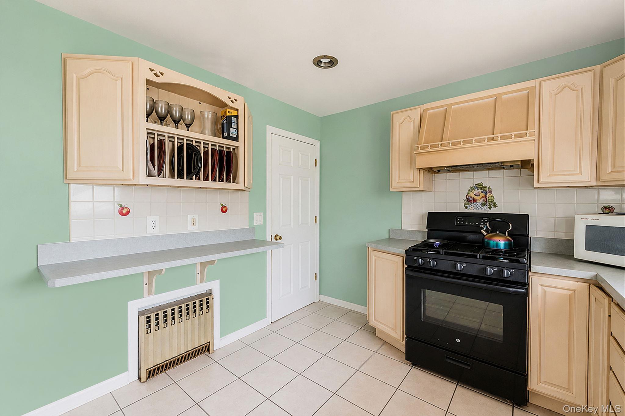 Single Family Lafayette Avenue Nassau County, NY 11553, MLS-1023799-10