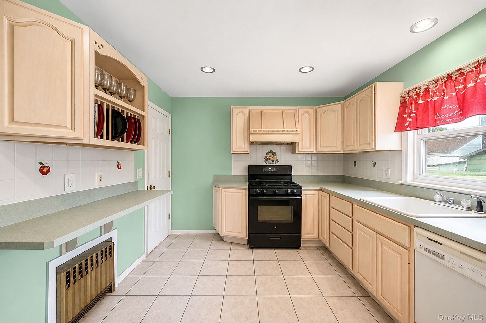 Single Family Lafayette Avenue Nassau County, NY 11553, MLS-1023799-9