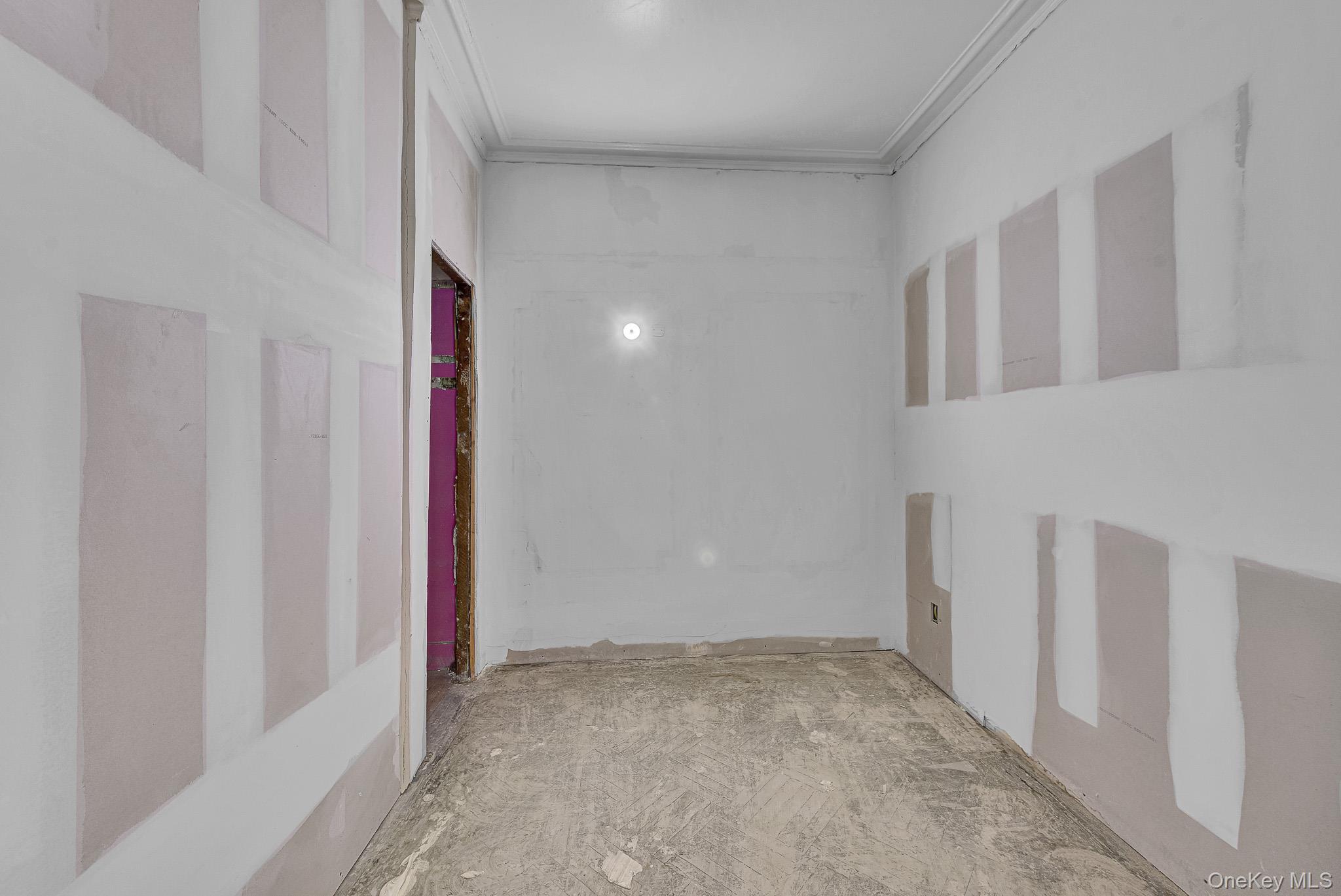 Single Family Decatur Street Brooklyn, NY 11207, MLS-1023803-17