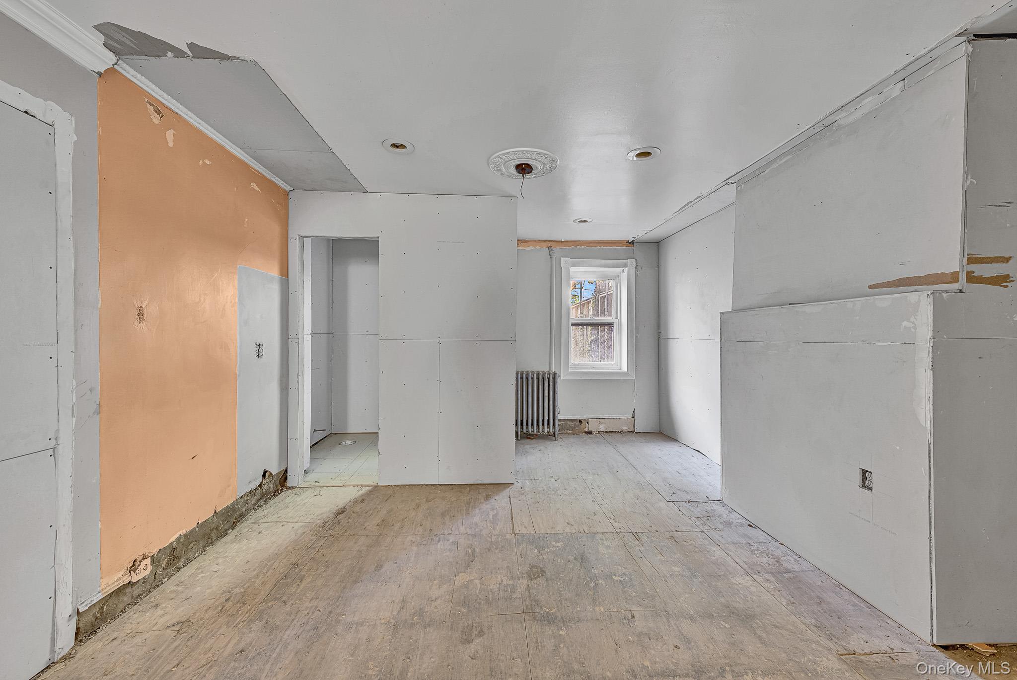 Single Family Decatur Street Brooklyn, NY 11207, MLS-1023803-8