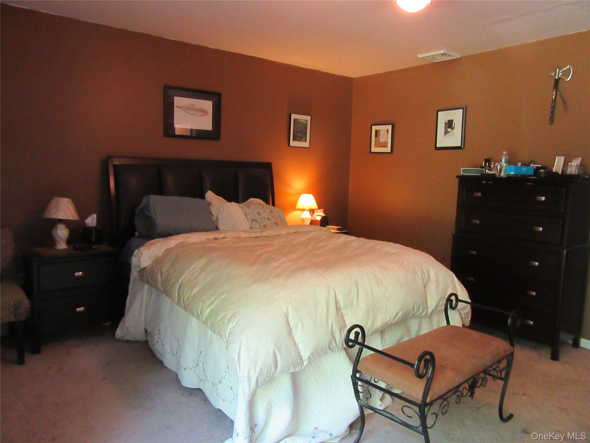 Single Family Little Britain Road  Orange County, NY 12553, MLS-1023813-20
