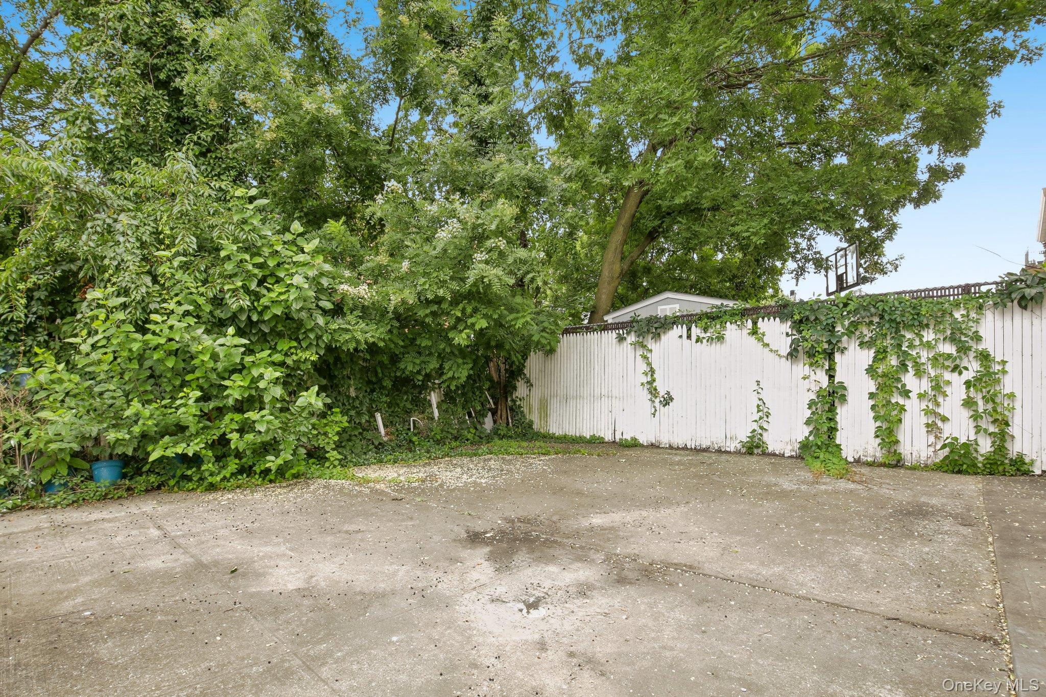 Single Family Crescent Street  Brooklyn, NY 11208, MLS-1023833-15