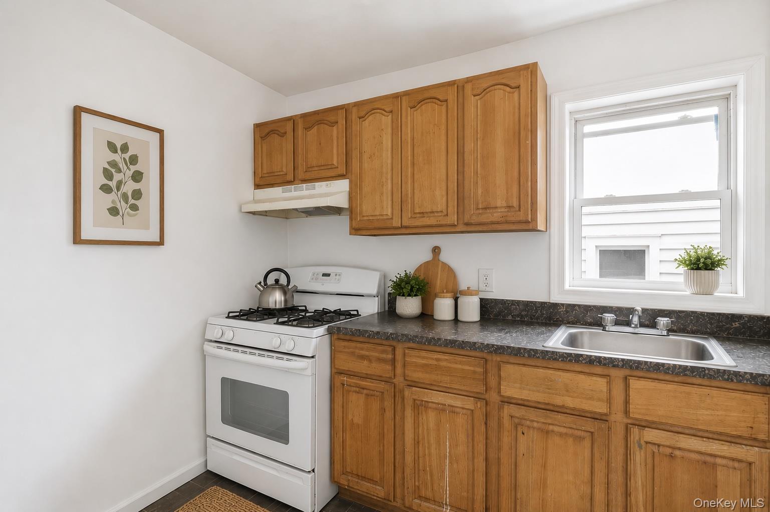 Single Family Crescent Street  Brooklyn, NY 11208, MLS-1023833-8