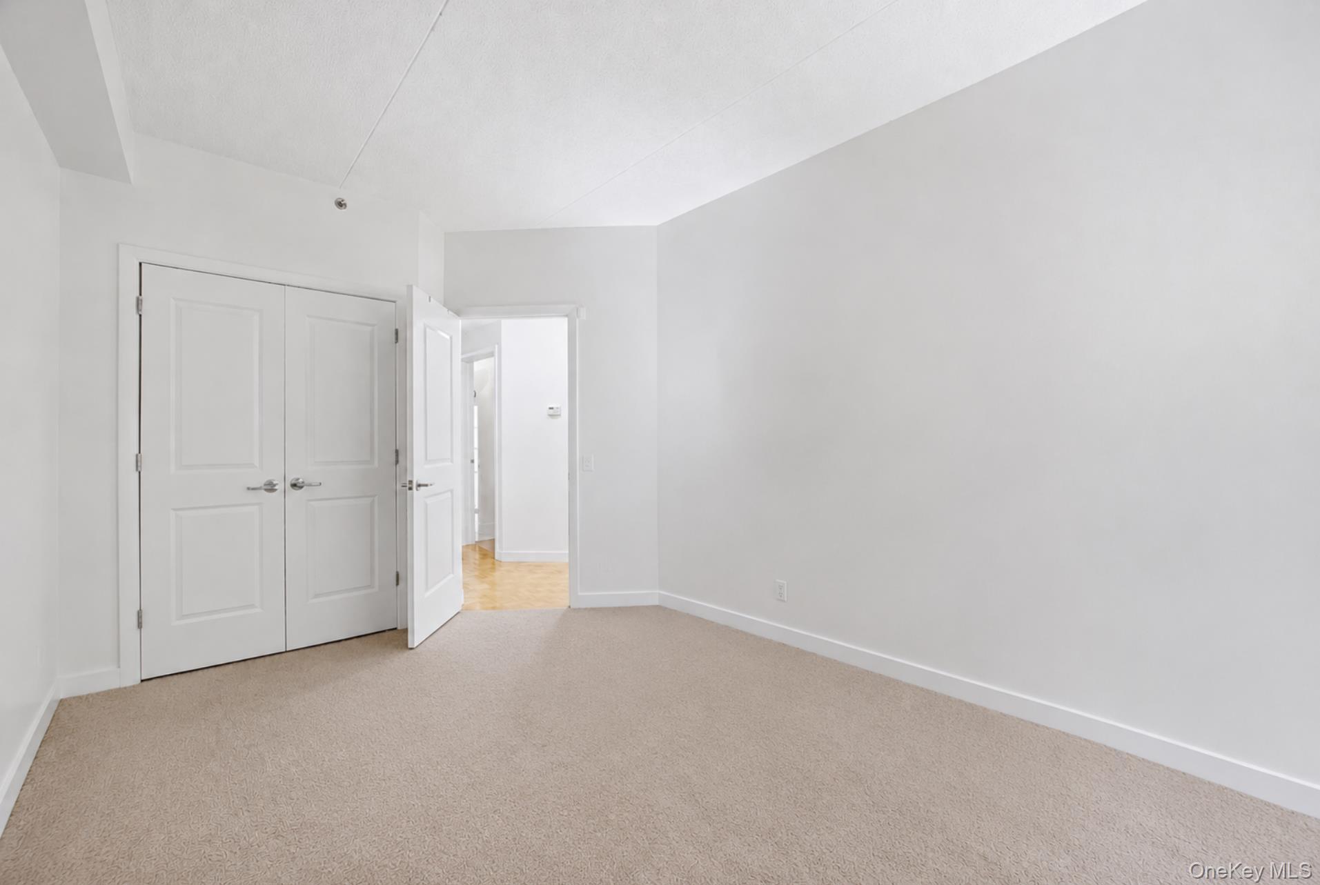 Coop Schenectady Avenue  Brooklyn, NY 11213, MLS-1023855-10