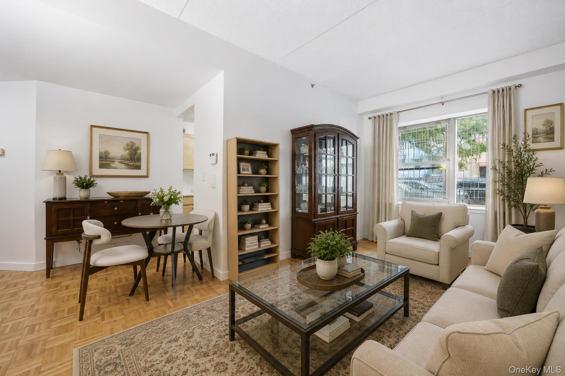 Coop Schenectady Avenue  Brooklyn, NY 11213, MLS-1023855-3