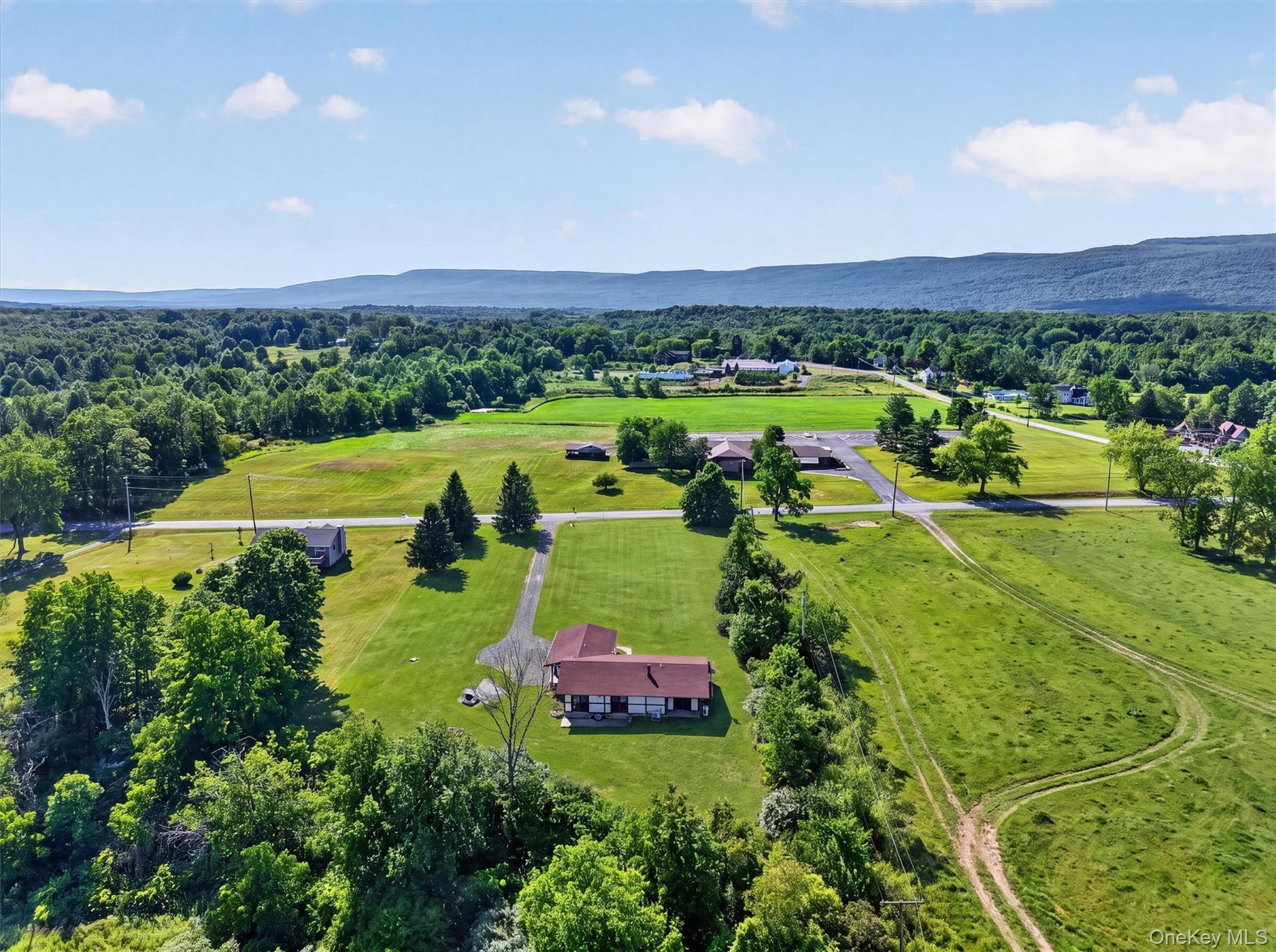 Single Family Red Mills Road Ulster County, NY 12589, MLS-1023862-2