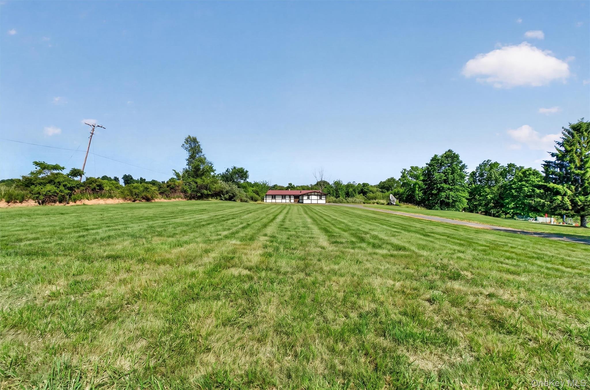 Single Family Red Mills Road Ulster County, NY 12589, MLS-1023862-4