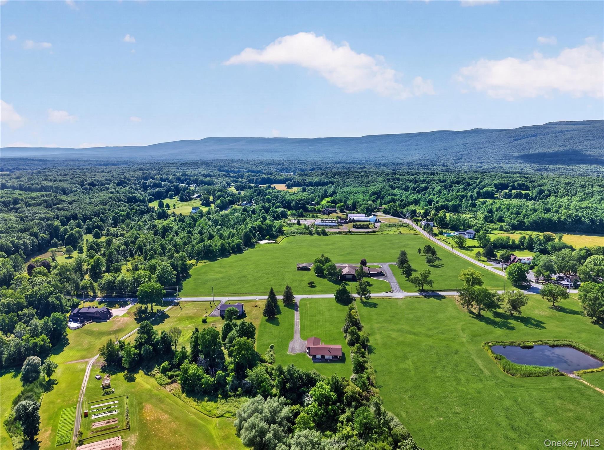 Single Family Red Mills Road Ulster County, NY 12589, MLS-1023862-46