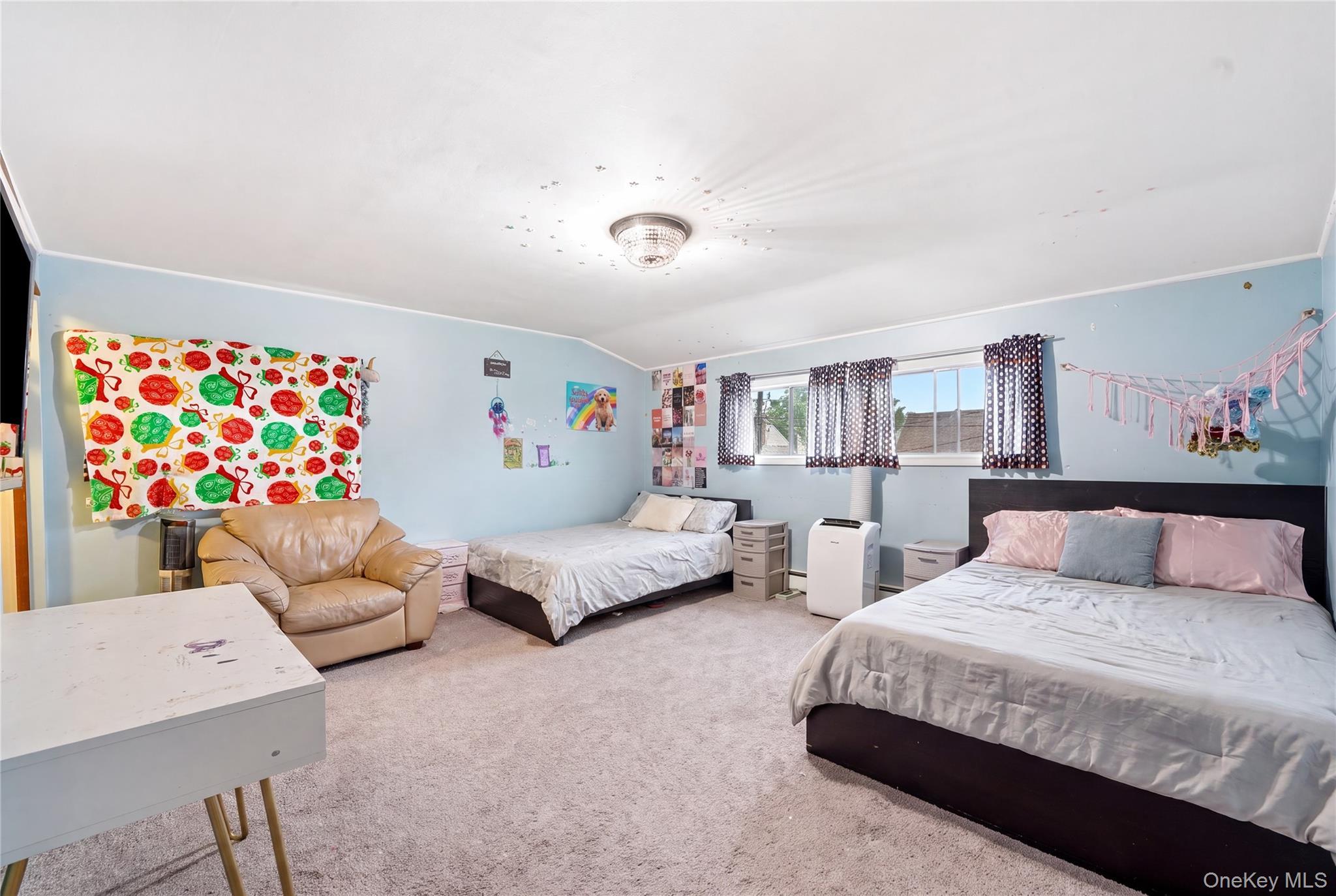 Single Family Duckpond Drive N  Nassau County, NY 11793, MLS-1023886-20