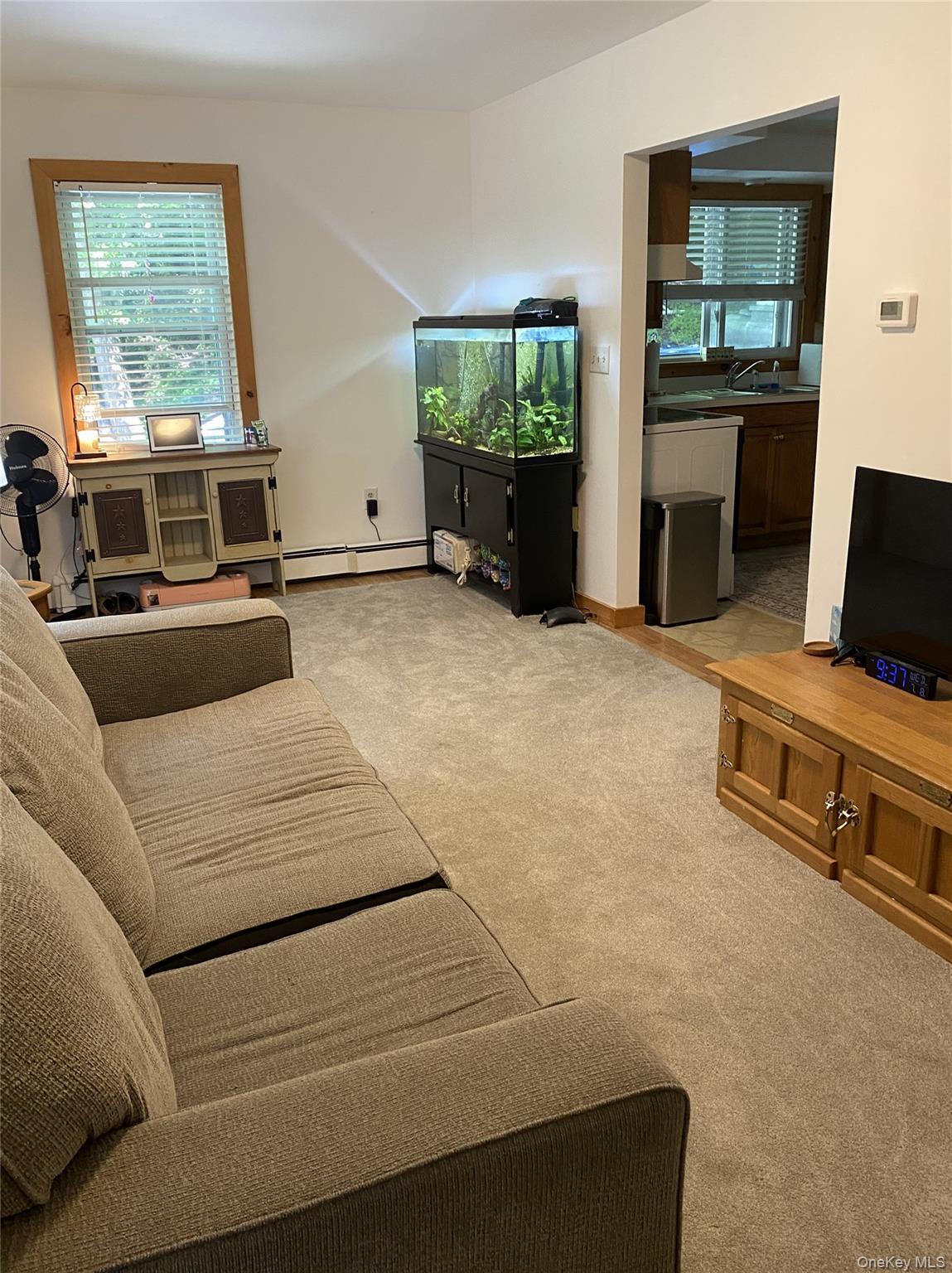 Single Family Sawkill Road Ulster County, NY 12401, MLS-1023963-10
