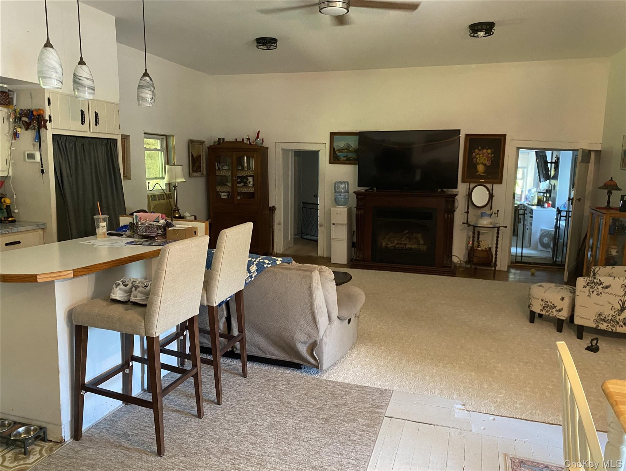 Single Family Sawkill Road Ulster County, NY 12401, MLS-1023963-14