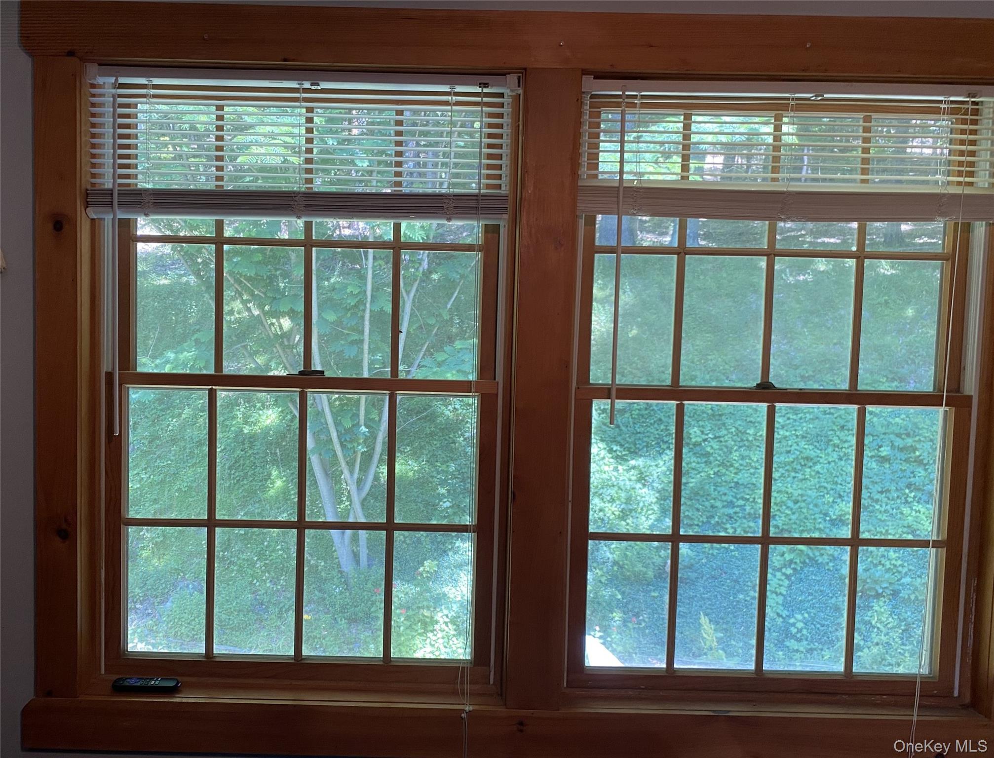 Single Family Sawkill Road Ulster County, NY 12401, MLS-1023963-31