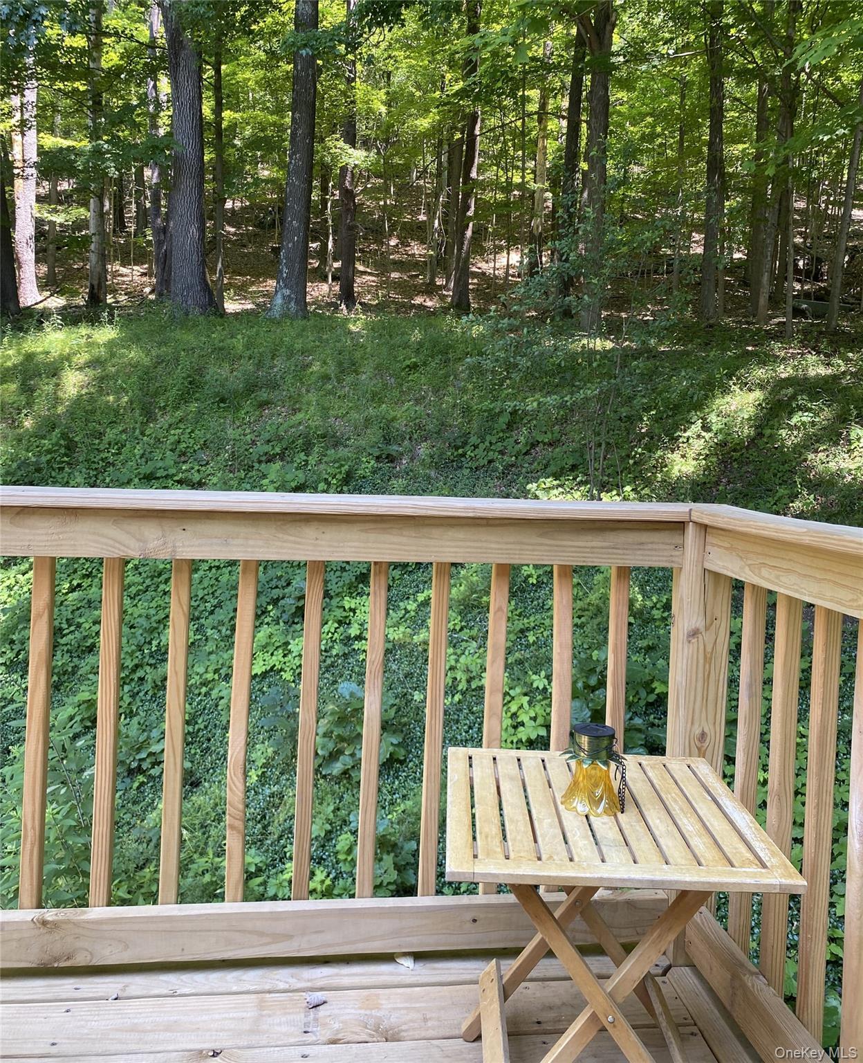 Single Family Sawkill Road Ulster County, NY 12401, MLS-1023963-41