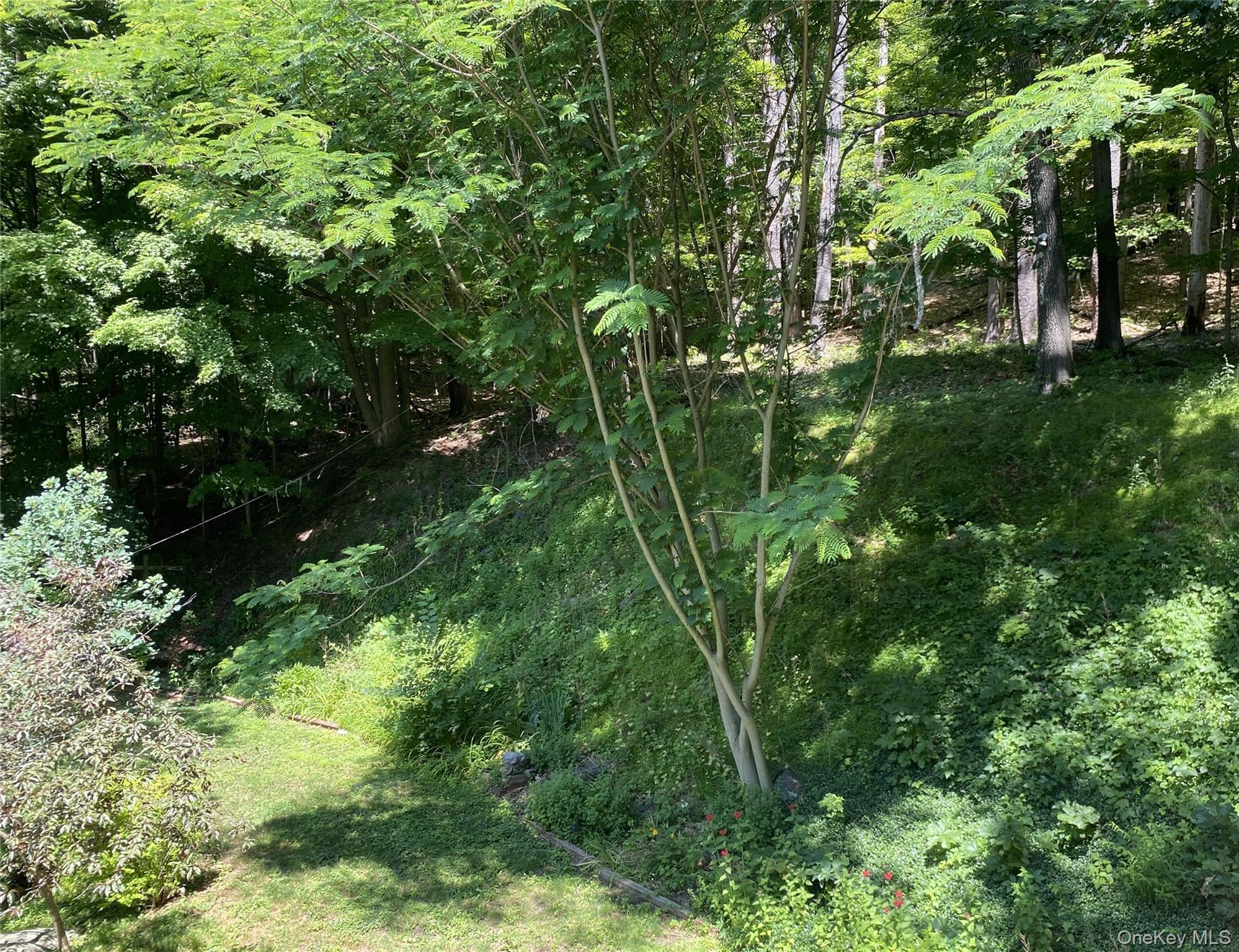 Single Family Sawkill Road Ulster County, NY 12401, MLS-1023963-45