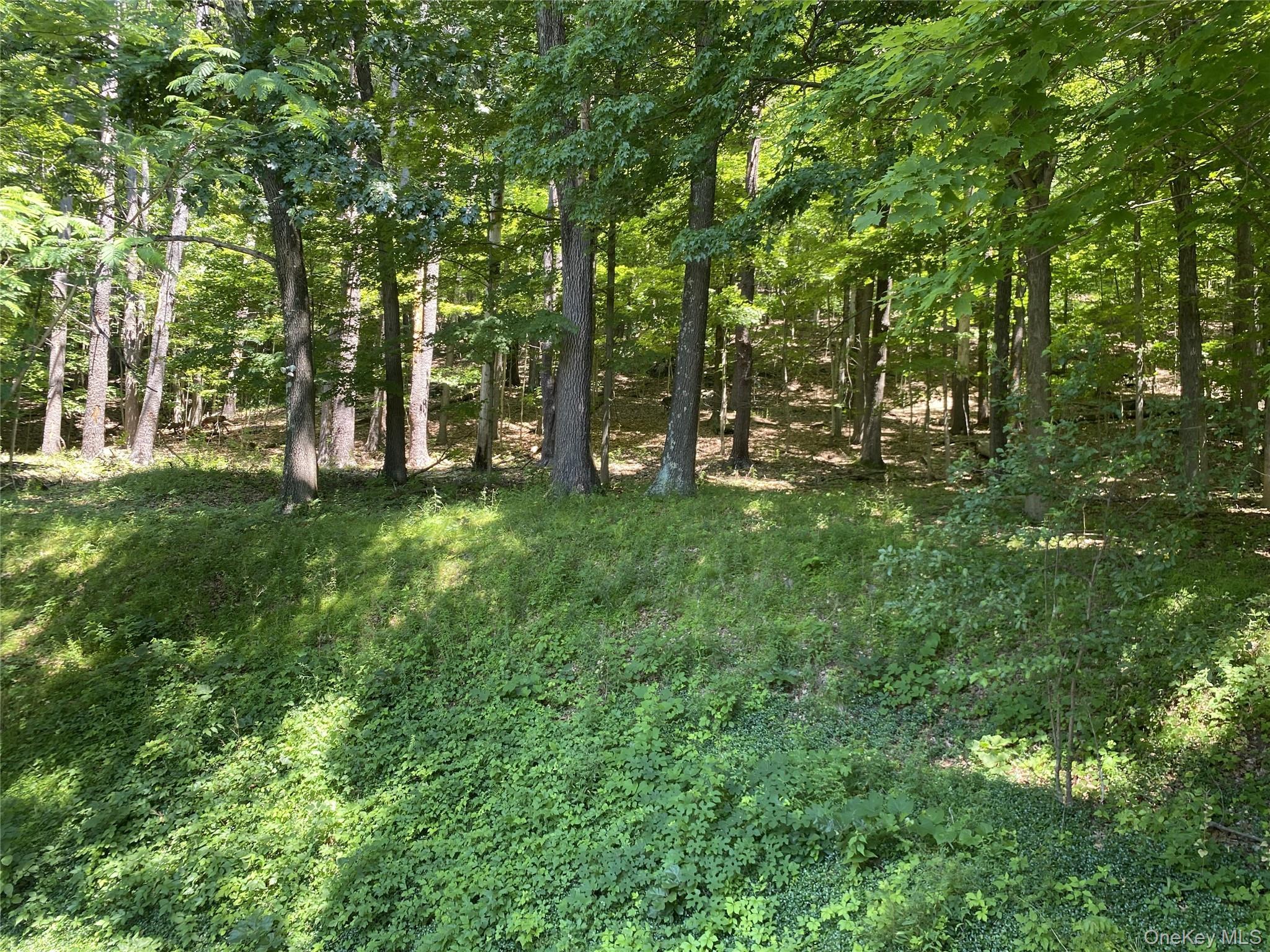 Single Family Sawkill Road Ulster County, NY 12401, MLS-1023963-46