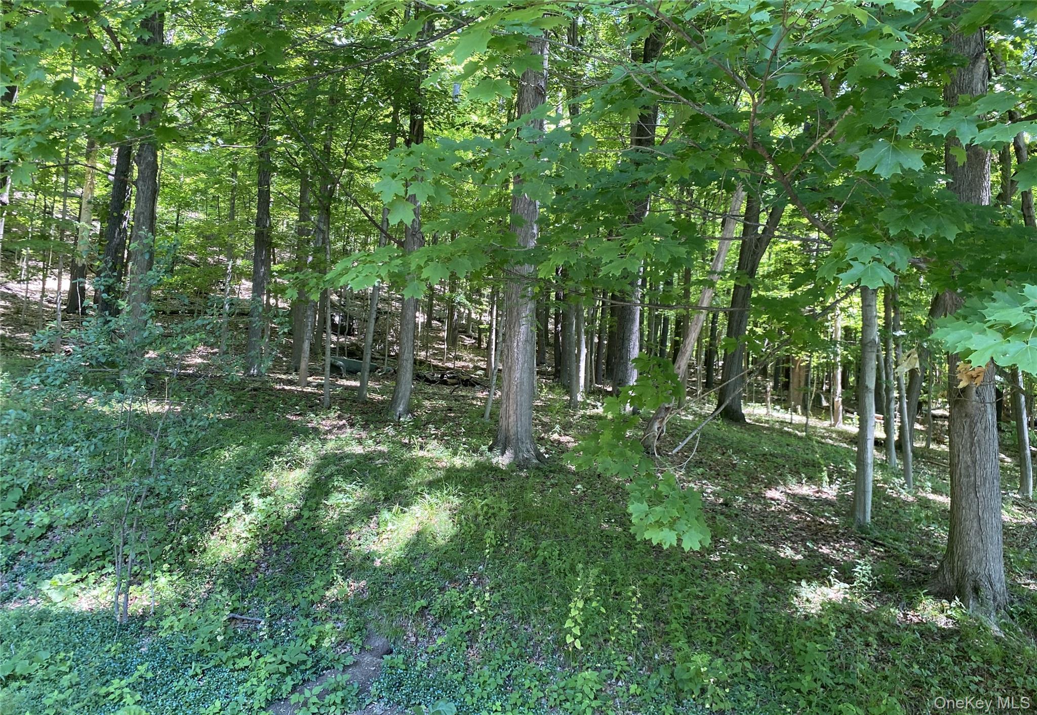 Single Family Sawkill Road Ulster County, NY 12401, MLS-1023963-47