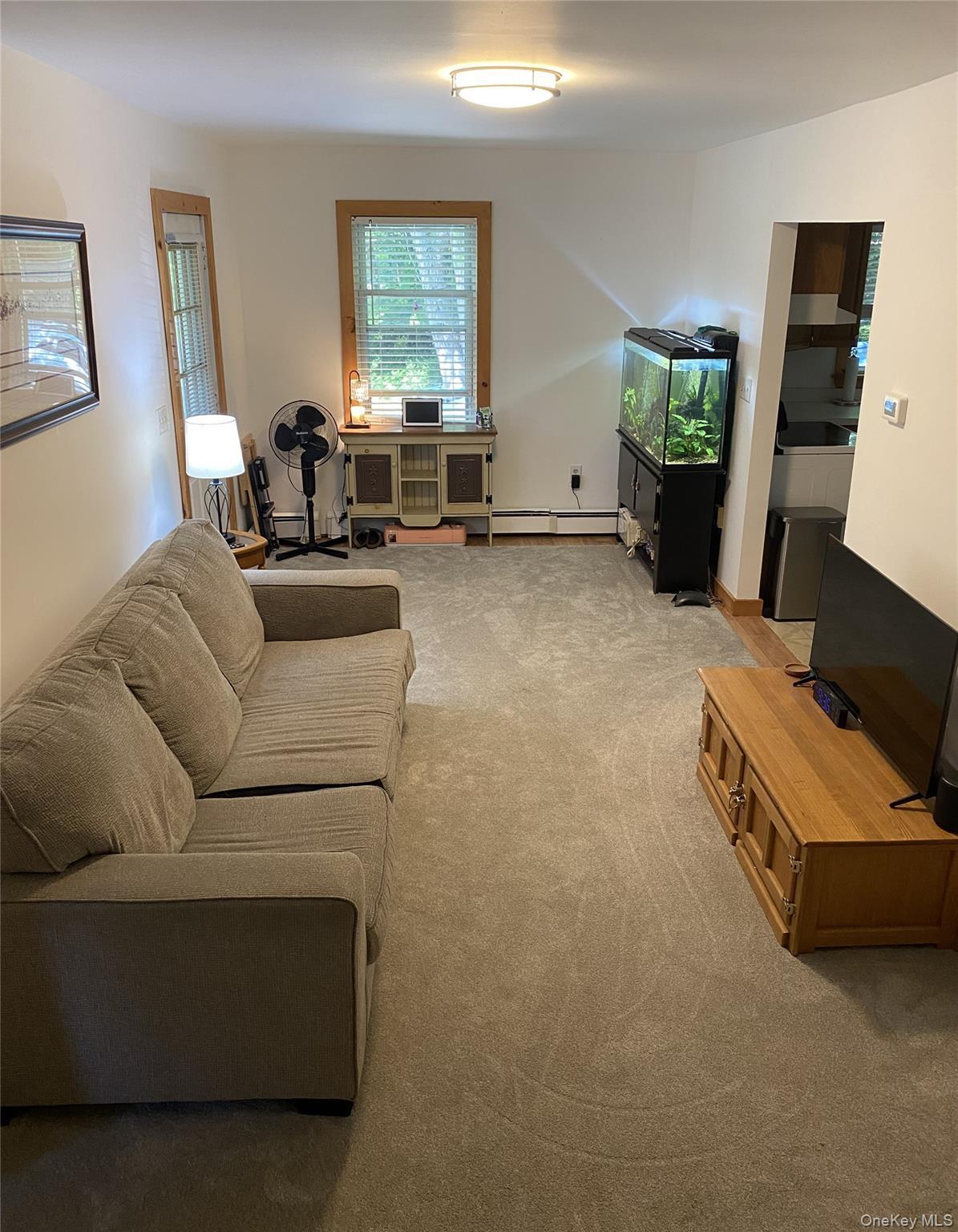 Single Family Sawkill Road Ulster County, NY 12401, MLS-1023963-9