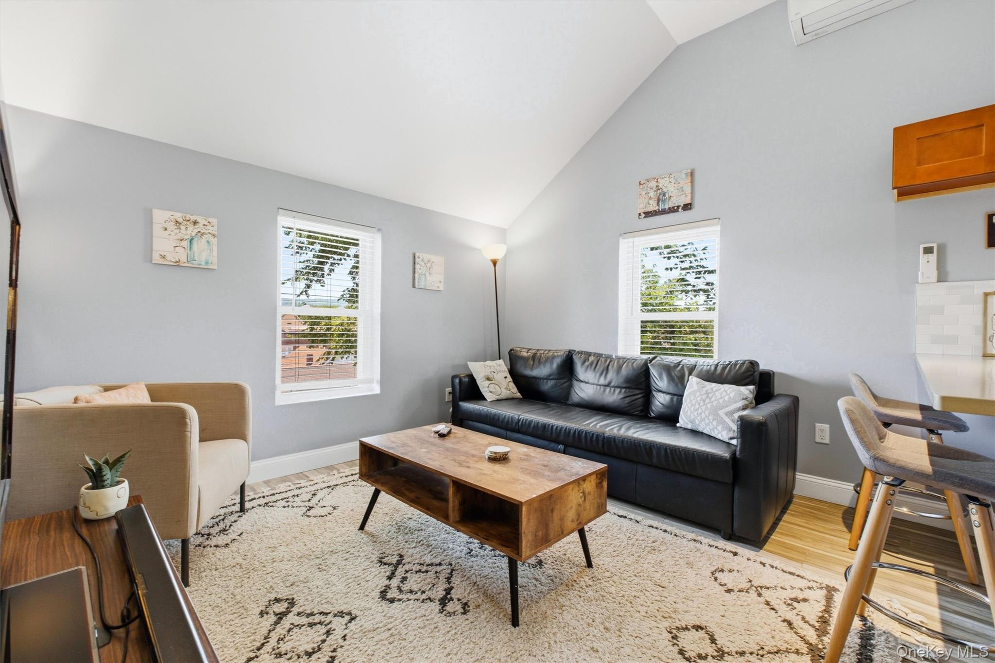 Single Family Tobins Lane Orange County, NY 10928, MLS-1023994-16