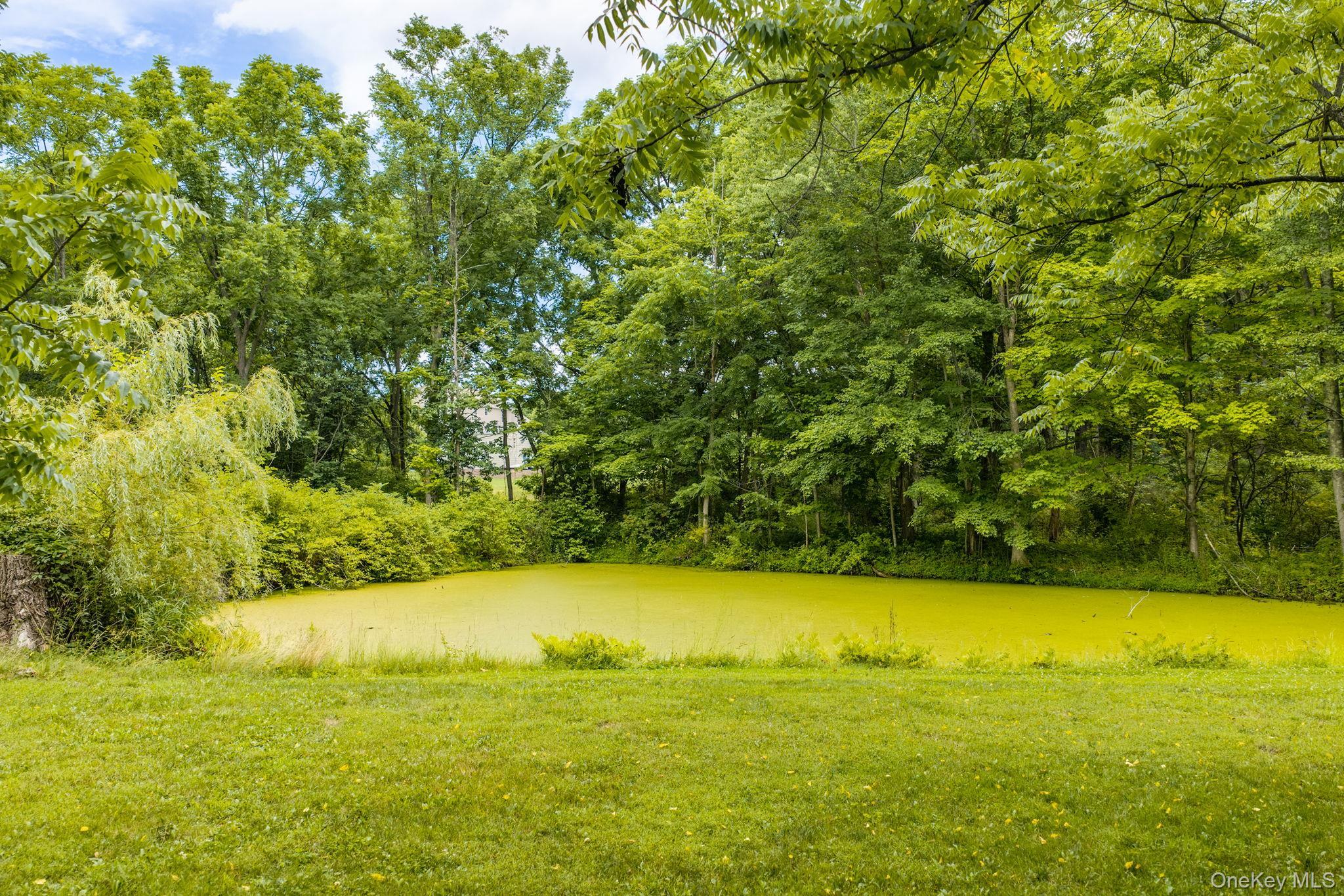 Single Family Plains Road Orange County, NY 12586, MLS-1024006-39