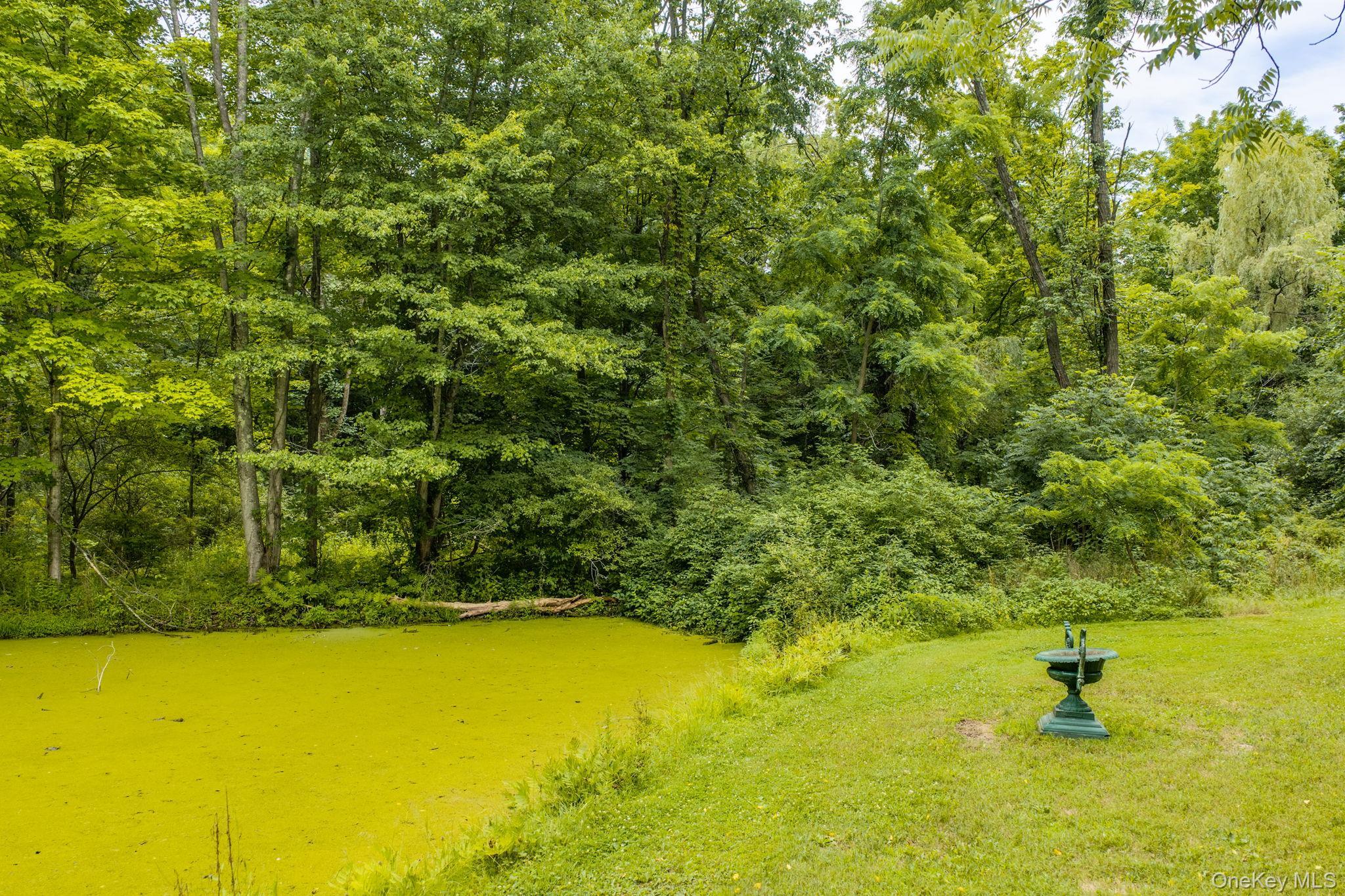 Single Family Plains Road Orange County, NY 12586, MLS-1024006-40