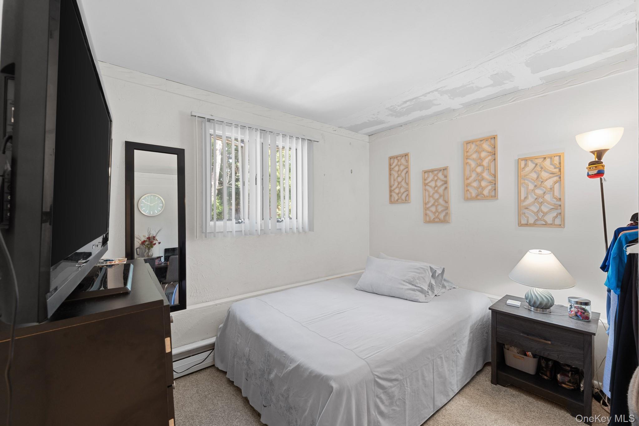 Single Family Tinton Place Suffolk County, NY 11731, MLS-1024025-22