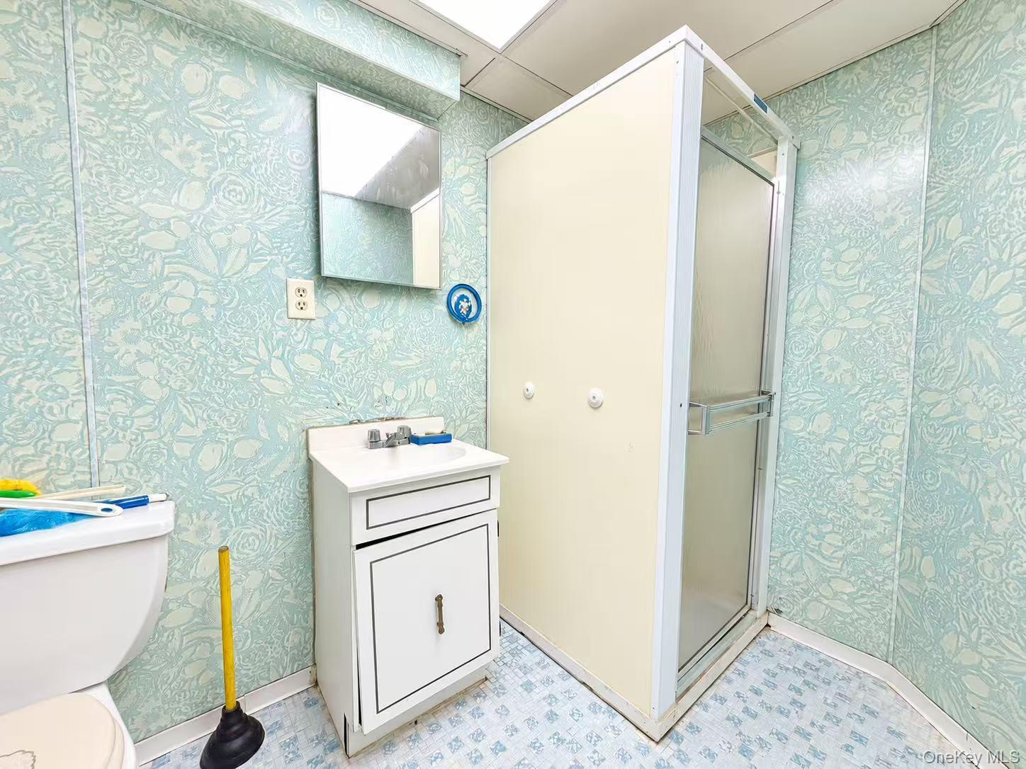 Single Family 248th Street  Queens, NY 11363, MLS-1024097-13