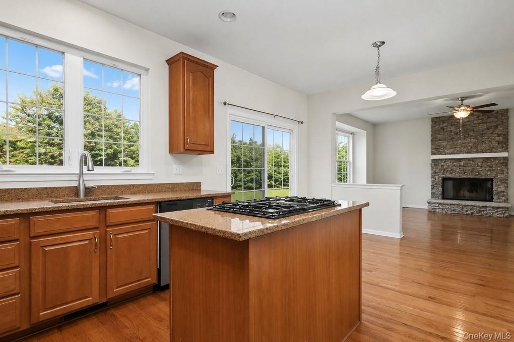 Single Family Vassar Place Dutchess County, NY 12524, MLS-1024194-12