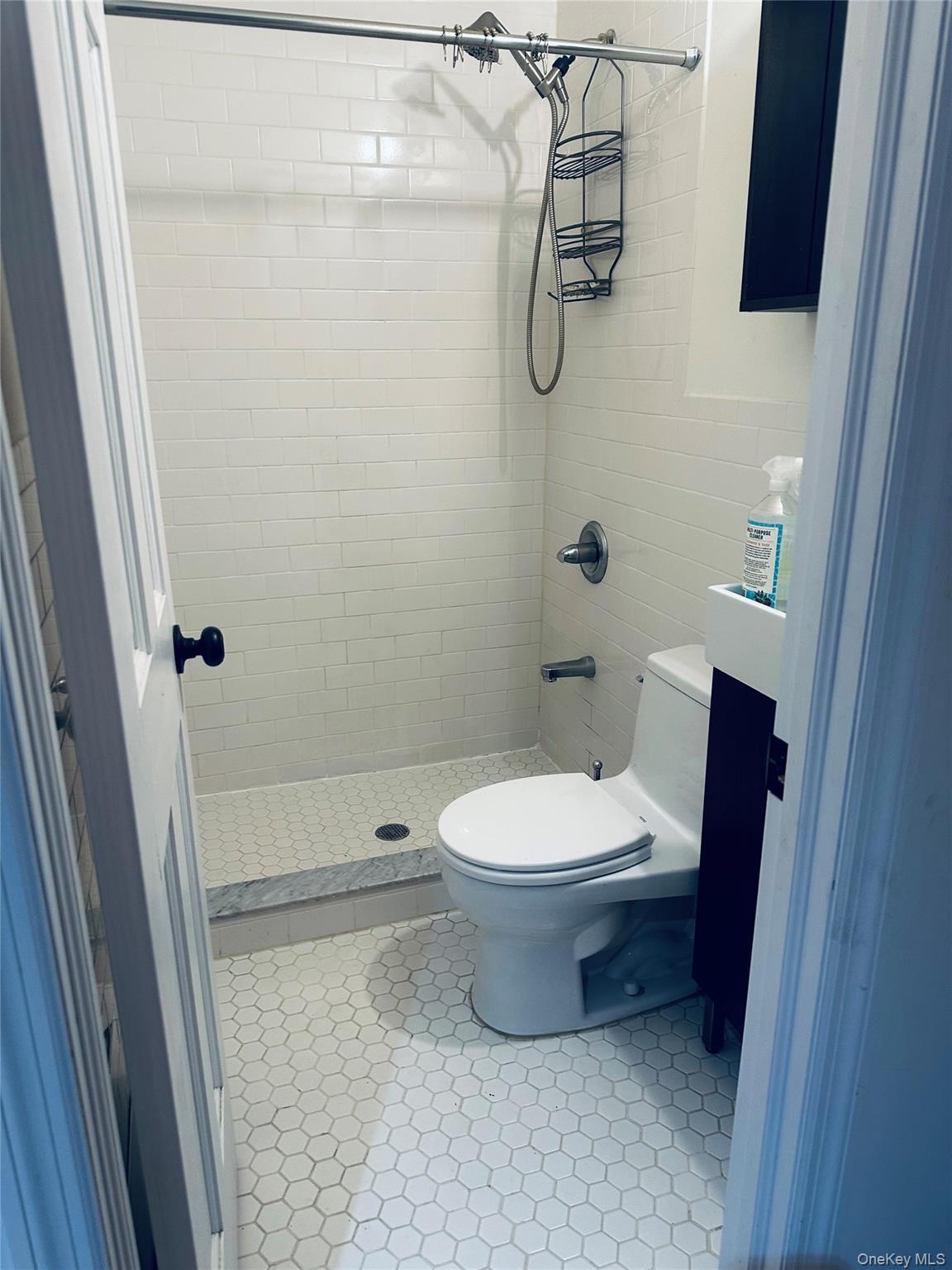 Single Family Woodside Avenue  Queens, NY 11377, MLS-1024224-18
