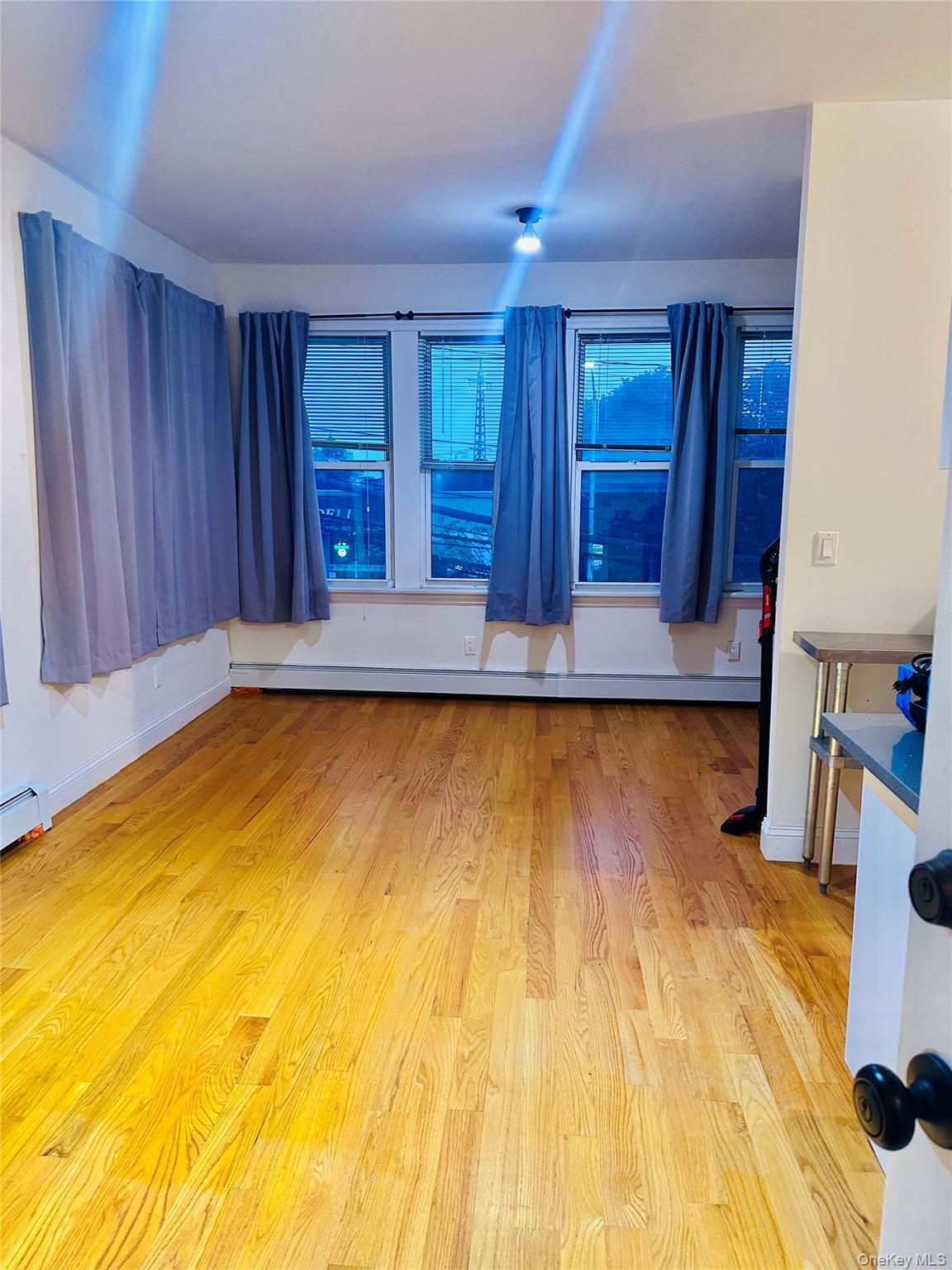 Single Family Woodside Avenue  Queens, NY 11377, MLS-1024224-7
