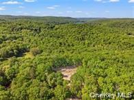 Single Family S White Rock Road  Dutchess County, NY 12564, MLS-1024239-19